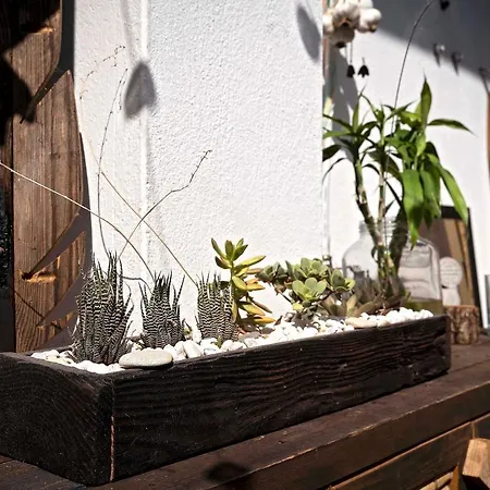 La Piuma Guest house